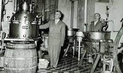 Halva X-Salt Salmiakki Licorice Assortment 120g - Soposopo